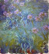 Claude Monet Agapanthus oil painting picture wholesale